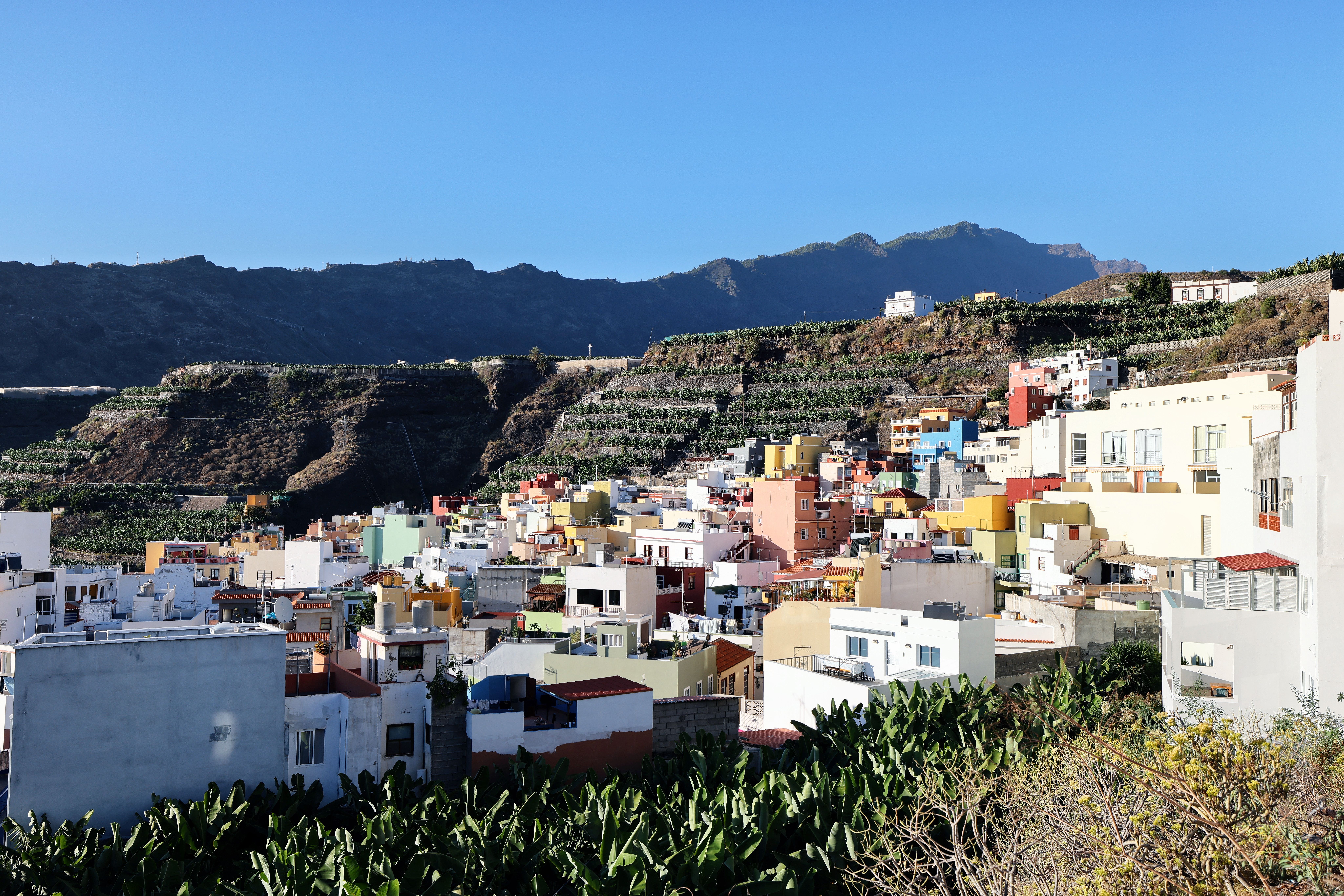 Tazacorte Mar y Vida: historia, sabor y comercio